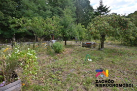 Działka ogrodowa 520 m2 okolica Os. Morelowe